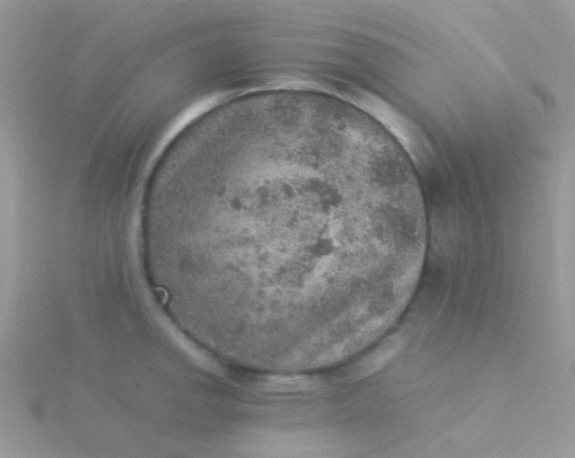 X0000115581142200911241507