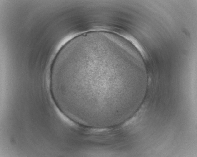 X0000115581143200911241507