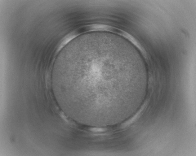 X0000115581145200911241507