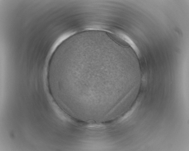 X0000115581146200911241507