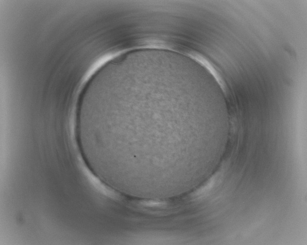 X0000115581147200911241507