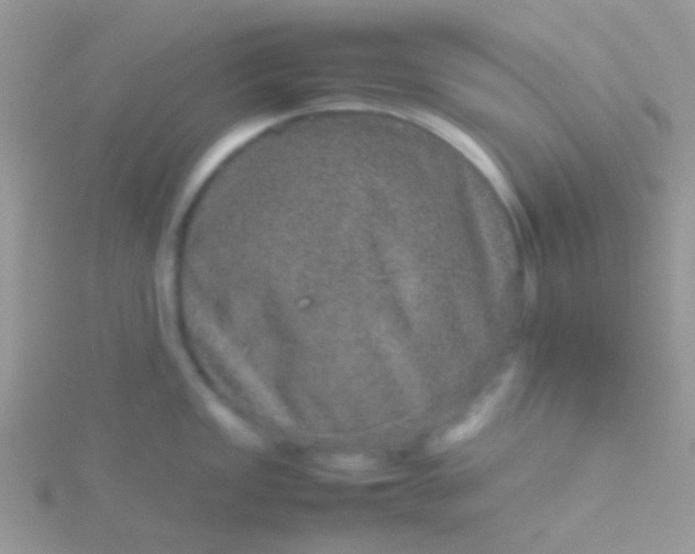 X0000115581149200911241507