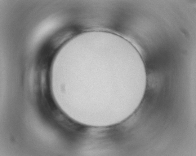 X0000115581150200911241507