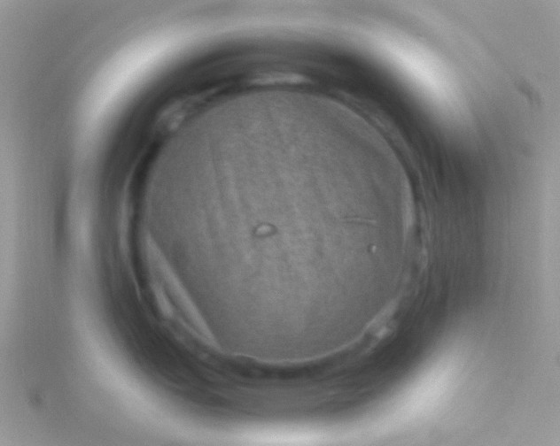 X0000115581151200911241507