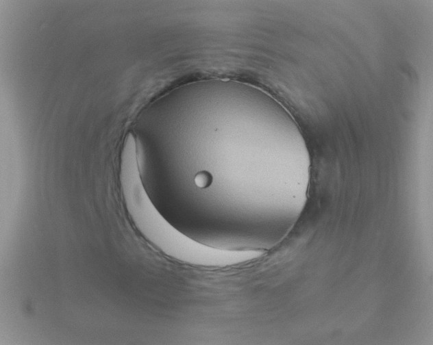 X0000115581153200911241506