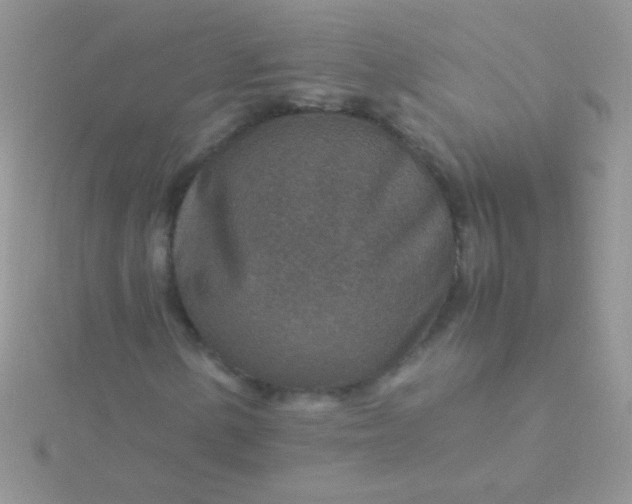 X0000115581154200911241506