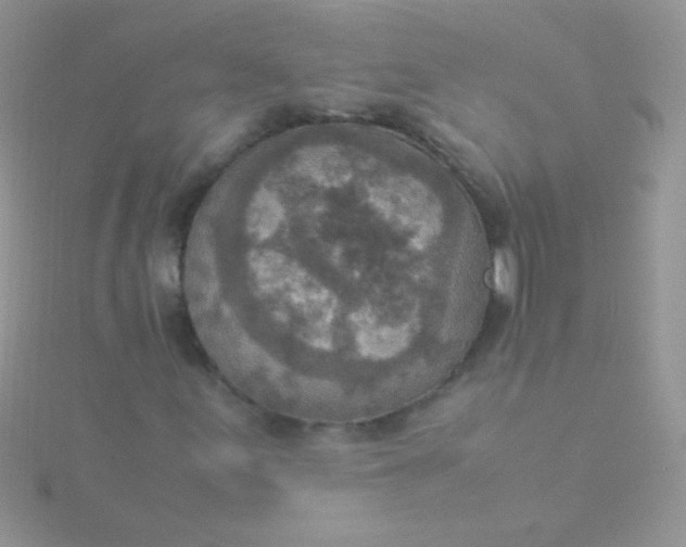 X0000115581155200911241506