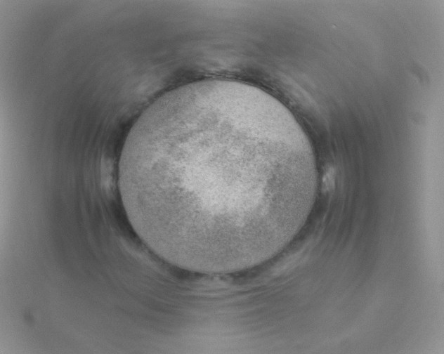 X0000115581156200911241506