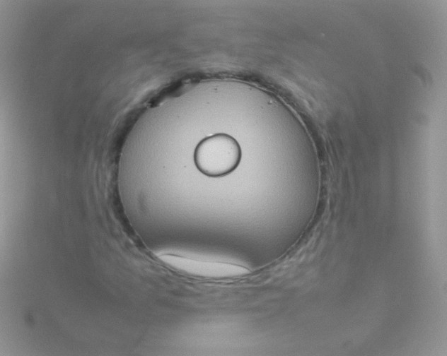 X0000115581157200911241506