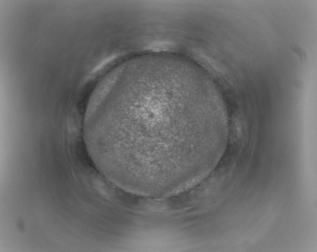 X0000115581158200911241506