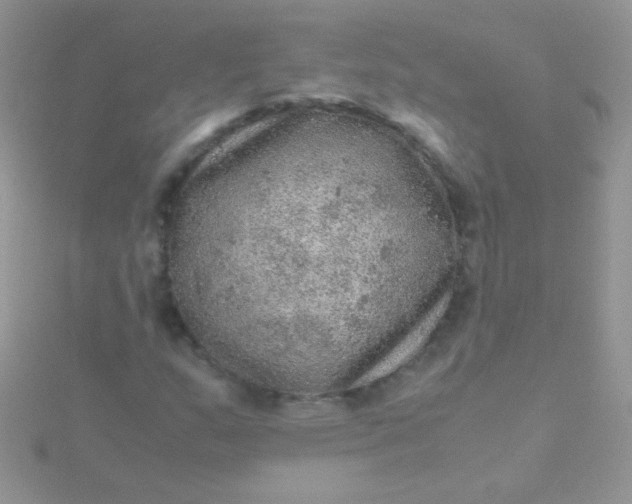 X0000115581159200911241506