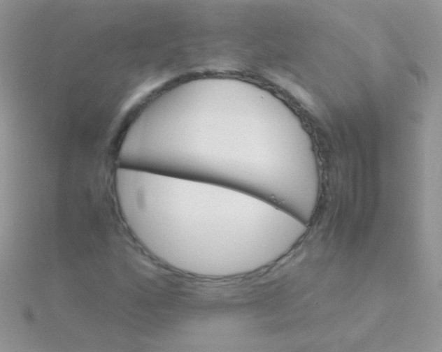 X0000115581160200911241506