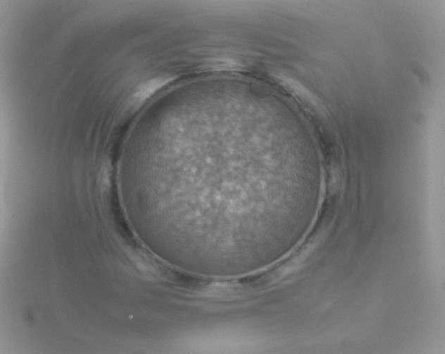 X0000115581161200911241506