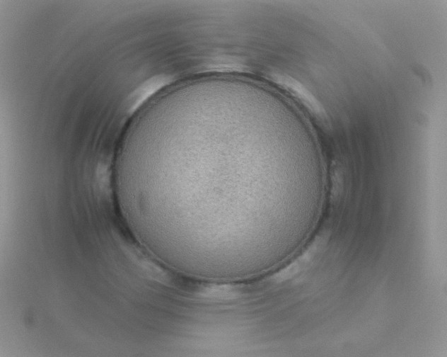 X0000115581162200911241506