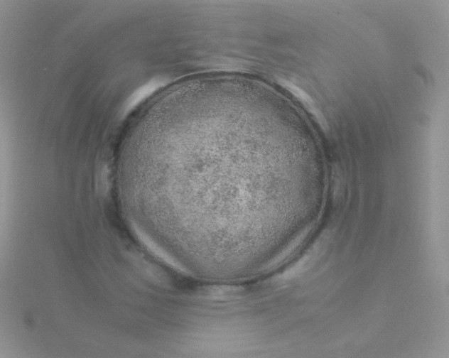 X0000115581163200911241506