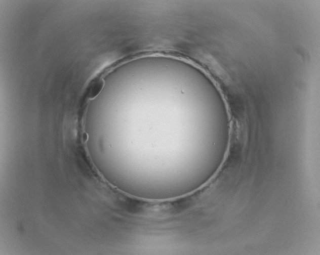 X0000115581165200911241506