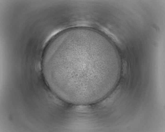 X0000115581166200911241506