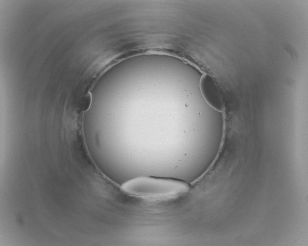 X0000115581169200911241506