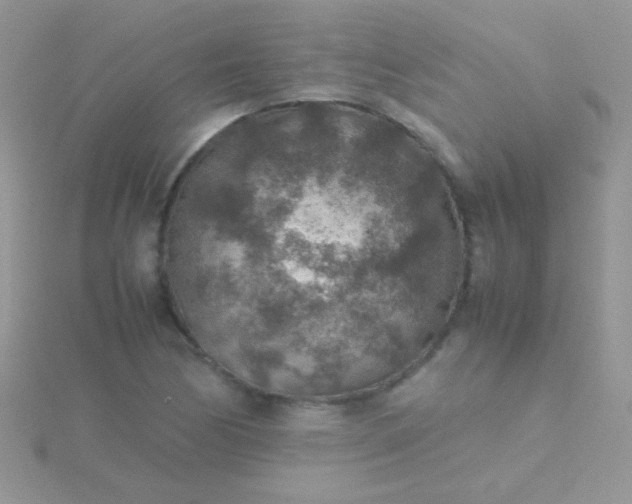 X0000115581170200911241506