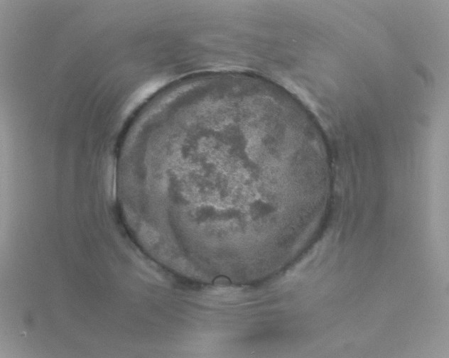 X0000115581171200911241506