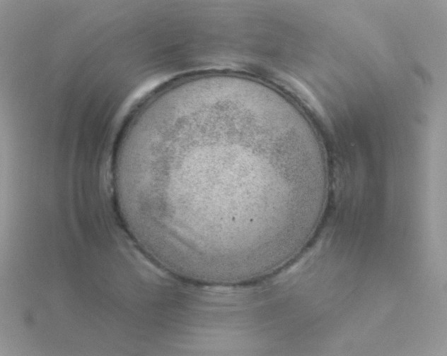 X0000115581172200911241506