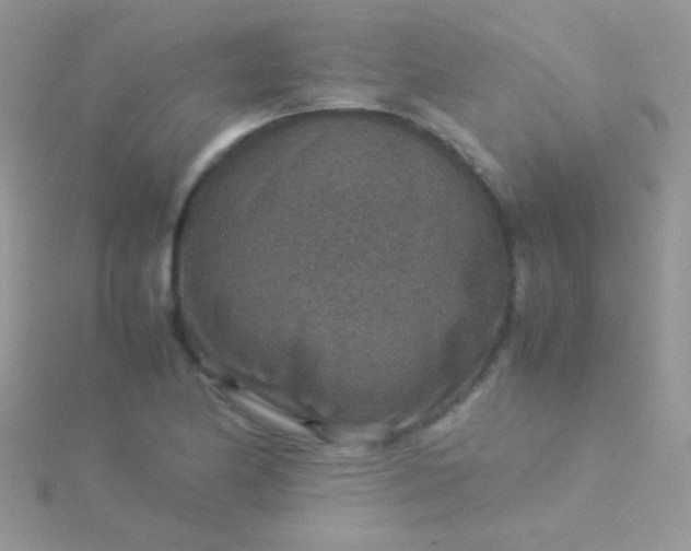 X0000115581174200911241506