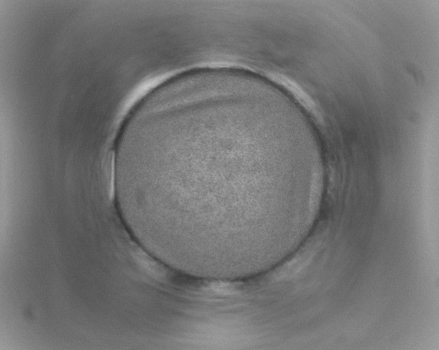 X0000115581175200911241506