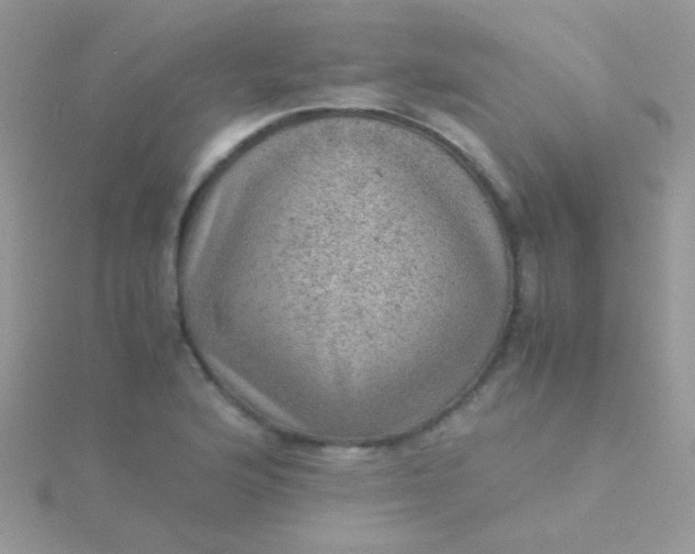 X0000115581176200911241506