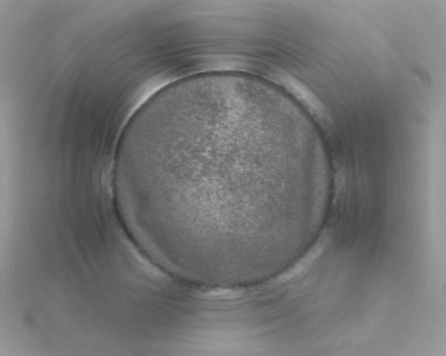 X0000115581178200911241506