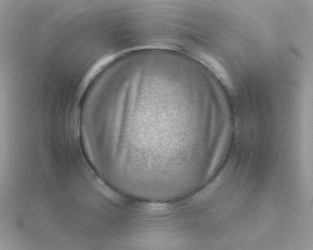 X0000115581180200911241506