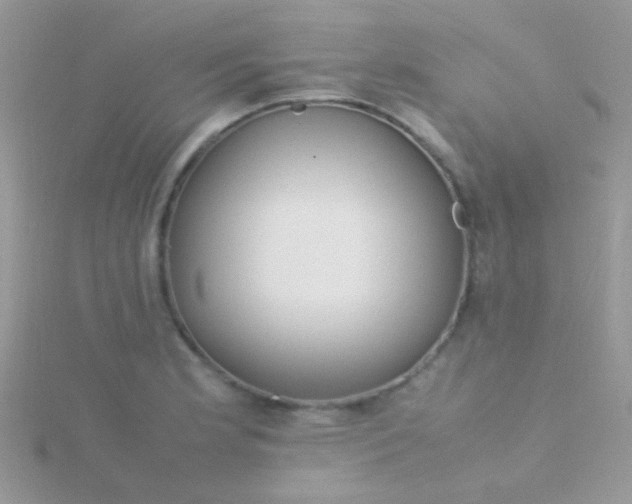 X0000115581181200911241506