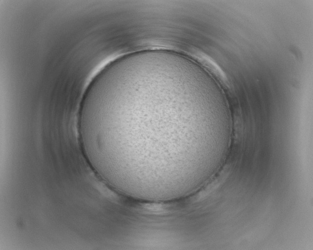 X0000115581182200911241506