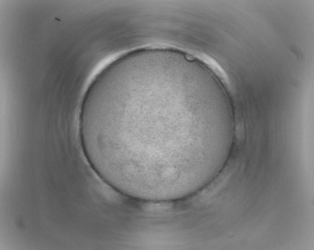 X0000115581183200911241506