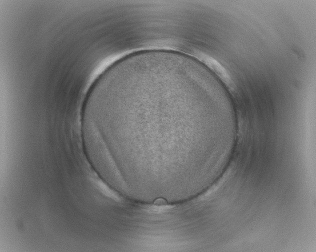 X0000115581184200911241506