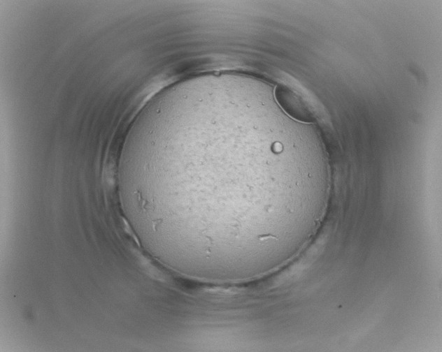 X0000115581185200911241506