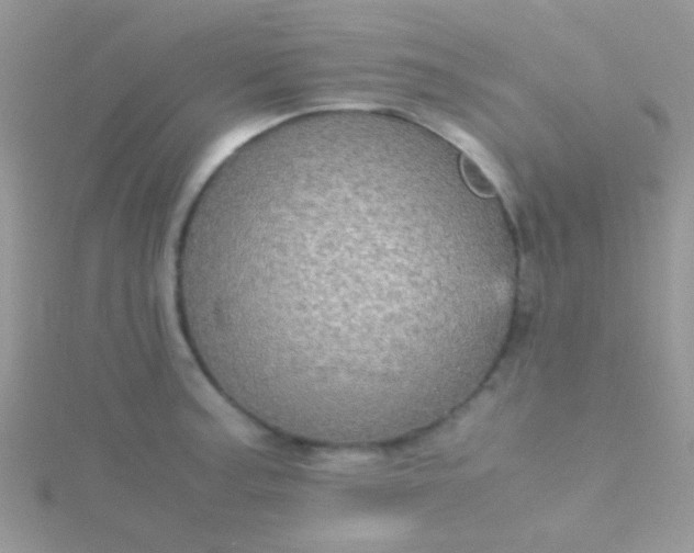 X0000115581187200911241506