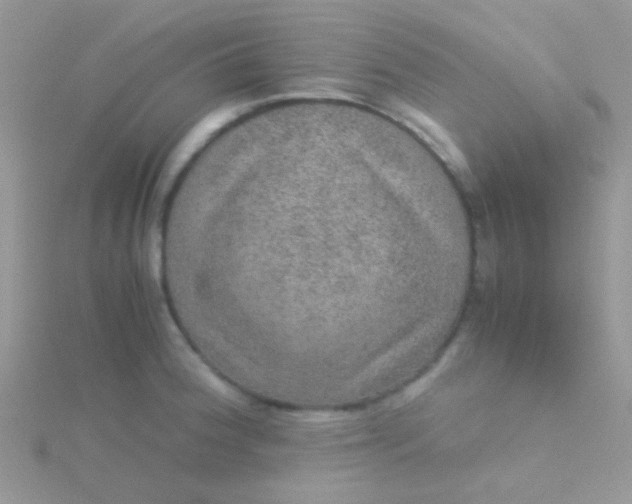 X0000115581188200911241506