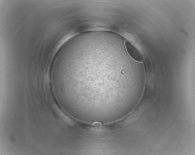 X0000115581189200911241506