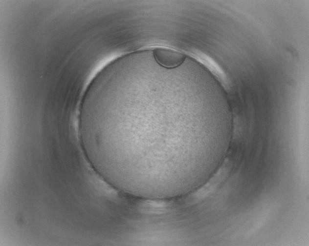 X0000115581190200911241506