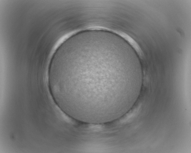 X0000115581191200911241506