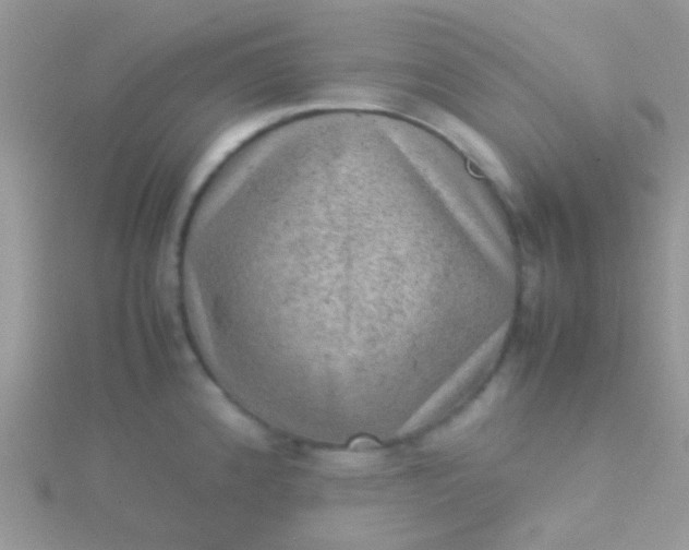 X0000115581192200911241506