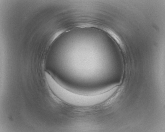 X0000115581193200911241506