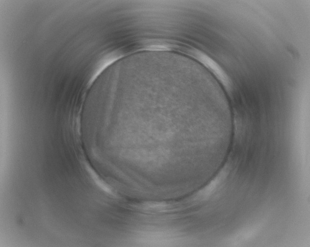 X0000115581194200911241506