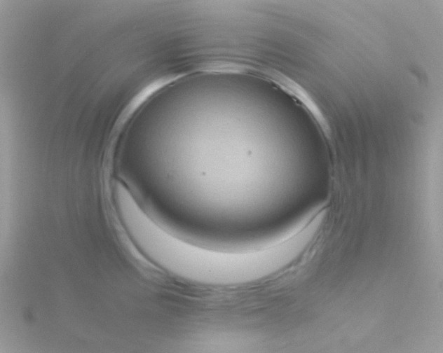 X0000115581195200911241506