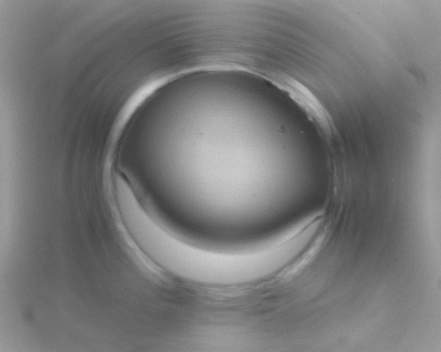 X0000115581196200911241506