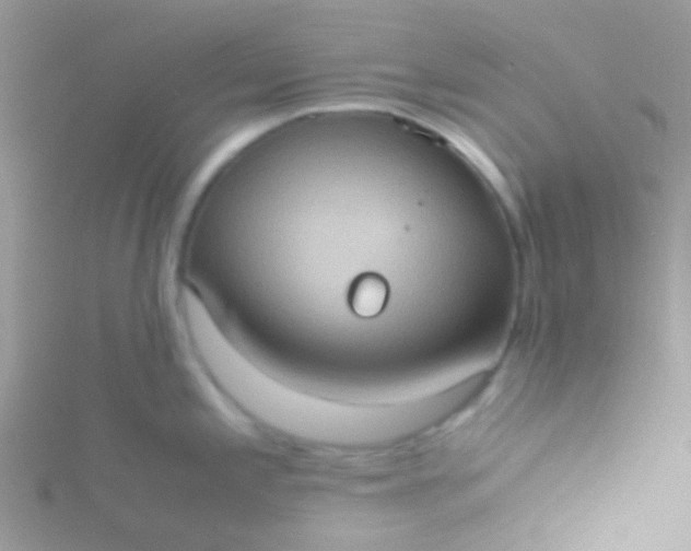 X0000115581197200911241506