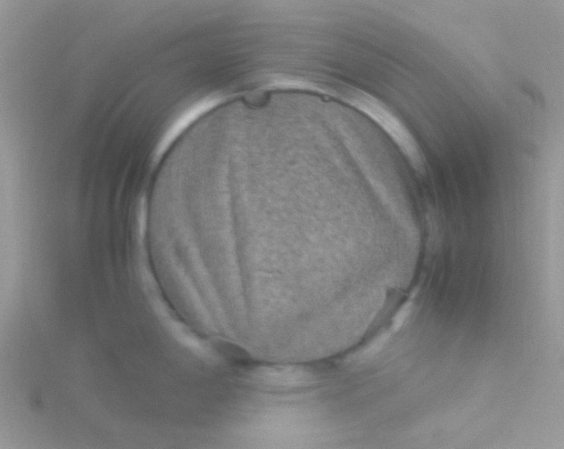 X0000115581198200911241506