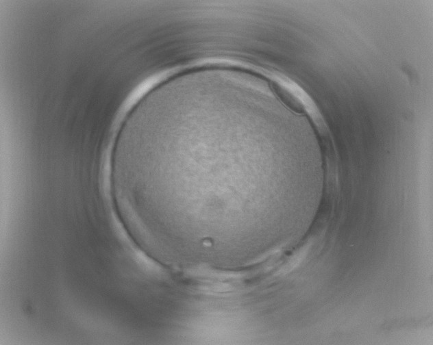 X0000115581199200911241506