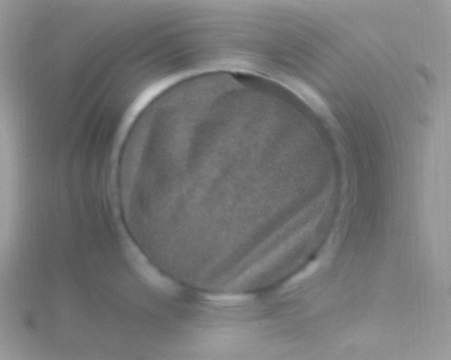 X0000115581200200911241506