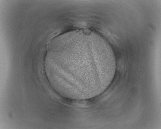 X0000115581201200911241505